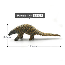 Load image into Gallery viewer, Simulation Squirrel Elephant Parrot Wombat Animal model figurine home decor miniature fairy garden decoration accessories figure