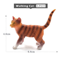 Load image into Gallery viewer, Simulation Squirrel Elephant Parrot Wombat Animal model figurine home decor miniature fairy garden decoration accessories figure
